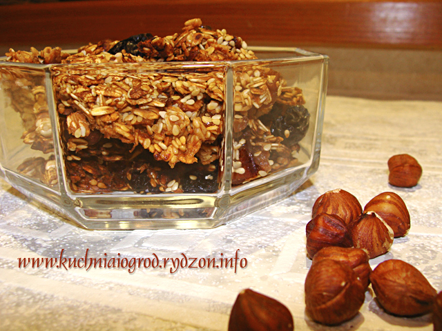 ciasteczka owsiane z bakaliami